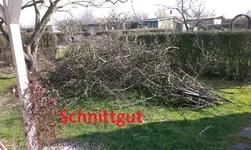 IMG-20140303-WA0001.webp