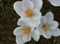 100_6027.webp