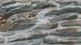 Bilda 0446.webp