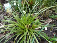 DSCN6682.webp