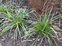 DSCN6684.webp