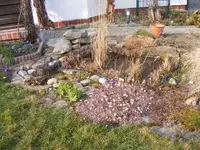 Vorgarten 5.3.2014.webp