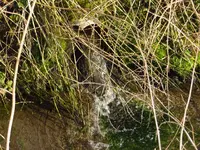 garten2.webp