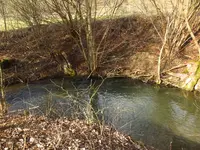 garten4.webp