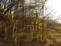 garten6.webp