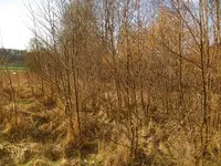 garten7.webp