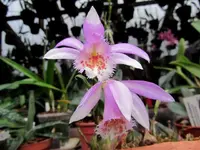 IMG_1984 - Kopie.webp