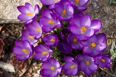 Stg 14-03-05-1103.webp