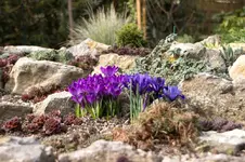 Stg 14-03-05-1113.webp