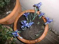 CIMG5849.webp