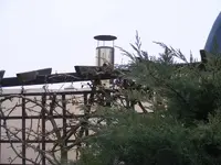 DSCF2961.webp