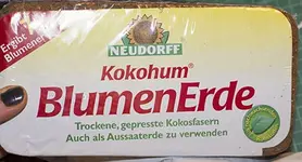 kokos.webp