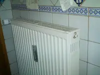 IMAG0994.webp