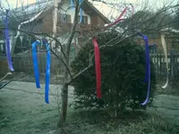 IMAG0995.webp