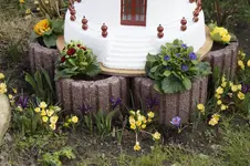 _DSC4647.webp