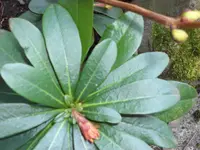 SAM_3104.webp