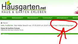 Unbenannt2.webp