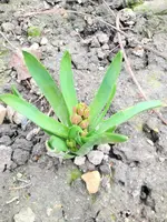 image.webp