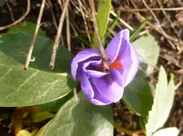 P1110476.webp