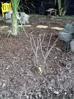 DSCF9205.webp