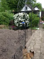 Bild 120.webp