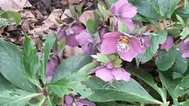 Bilda 0506.webp