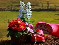 Stilleben1_1024.webp