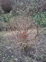 20140306_171115.webp