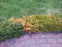 20140306_171101.webp