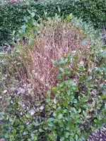 20140306_170948.webp