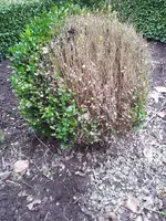 20140306_170933.webp