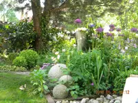 DSCN0035.webp