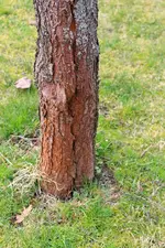 IMG_0064.webp