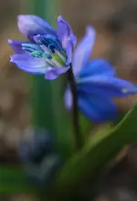 Fragezeichen.webp