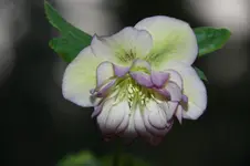 DSC00902.webp