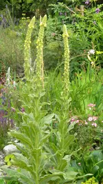 DSCN3180.webp