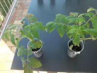 DSCF7631.webp