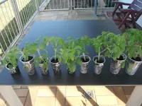 DSCF7633.webp
