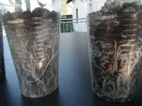 DSCF7634.webp