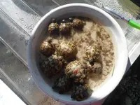 DSCF7638.webp