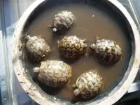 DSCF7641.webp