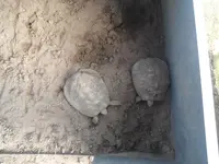 DSCF7643.webp