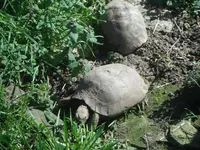 DSCF7636.webp