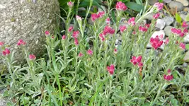 DSCN2578.webp