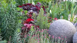 DSCN2700.webp