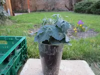 K1600_IMG_0162.webp