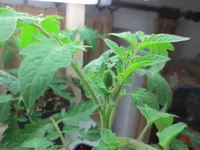 K1600_IMG_0165.webp