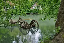 29.webp