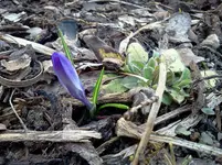 garten 079.webp