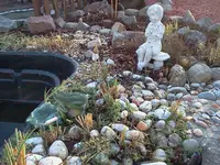 garten 134.webp
